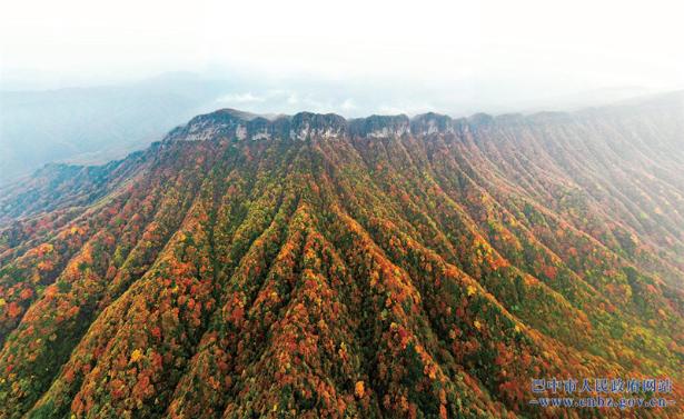 光霧山紅葉紅了